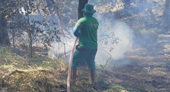 Prefeitura de Goiânia adota medidas para prevenir incêndios durante estiagem